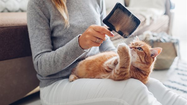 العلاقة بين تربية القطط ومرض الفصام