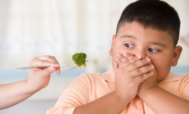 الأطفال يرثون مؤشر كتلة الجسم من آبائهم
